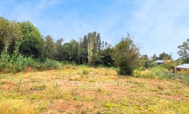 Hermosa Parcela en Sector Chabelita, Orilla de Camino Pavimentado