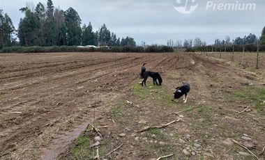 Parcela en Venta en Coironal S/N, Yerbas Buenas