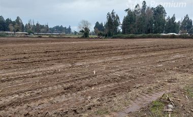 Parcela en Venta en Coironal S/N, Yerbas Buenas