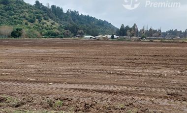 Parcela en Venta en Coironal S/N, Yerbas Buenas