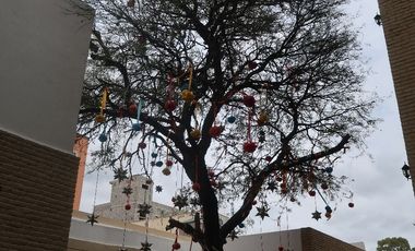 La estación departamento en venta  Col. Centro
