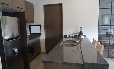 La estación departamento en venta  Col. Centro