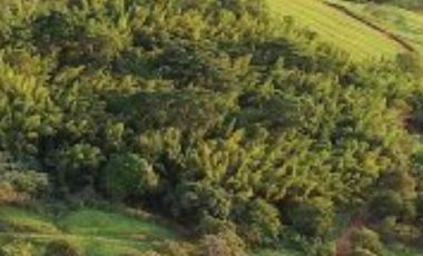 VENTA LOTE  PALMIRA LAGOS DE MARACAIBO