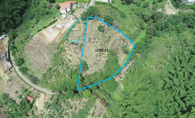 Lote Venta Vía Morelia Pereira