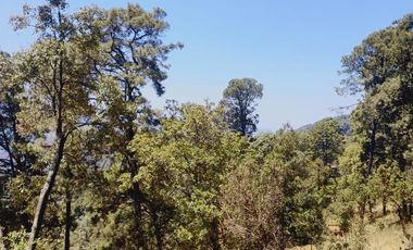 SAN GABRIEL IXTLA VALLE DE BRAVO, DEPARTAMENTO DE LUJO VENTA