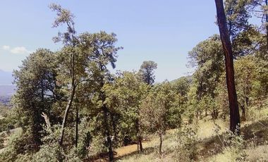 SAN GABRIEL IXTLA VALLE DE BRAVO, DEPARTAMENTO DE LUJO VENTA