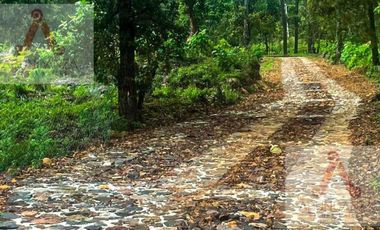 SAN GABRIEL IXTLA VALLE DE BRAVO, DEPARTAMENTO DE LUJO VENTA