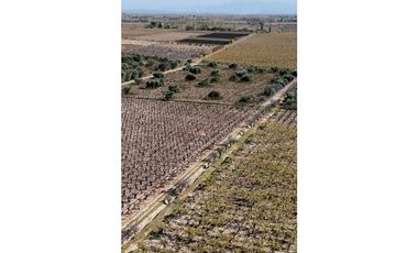 VENTA DE FINCA 63 HAS - EL ESPINO, SAN MARTIN , MENDOZA