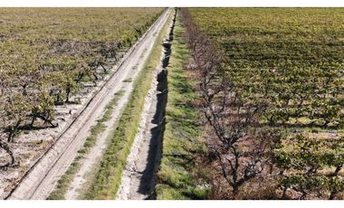 VENTA DE FINCA 63 HAS - EL ESPINO, SAN MARTIN , MENDOZA