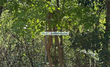 LE180. CUESTA BLANCA. LOTE 1918 MT2 ZONA DIQUECITO. A MTS DEL RIO.