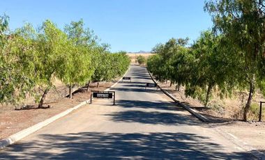 Parcela en venta en COLINA