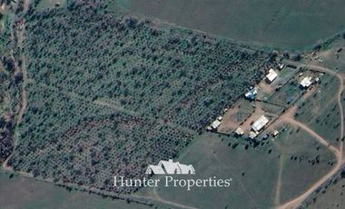 Agrícola en Venta en el colorado