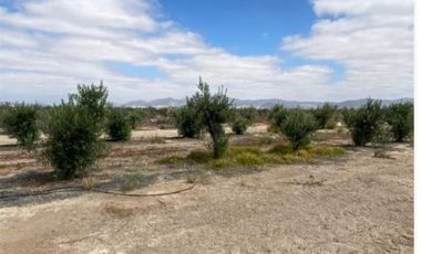 Agrícola en Venta en EL ALTO DE LA PIA Lote 1 Kilometro 25 TOTORAL