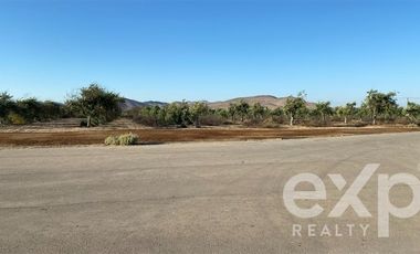 Agrícola en Venta en EL ALTO DE LA PIA Lote 1 Kilometro 25 TOTORAL