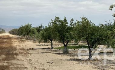 Parcela en Venta en EL ALTO DE LA PIA Lote 1 Kilometro 25 TOTORAL