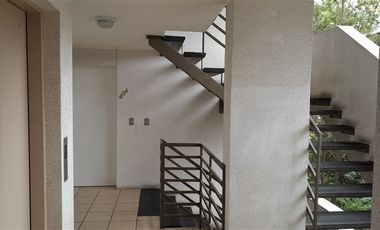 Departamento en Arriendo en Ascensor Polanco