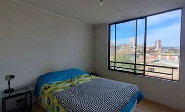Departamento en Arriendo en Ascensor Polanco