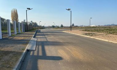 LINARES