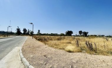 LINARES