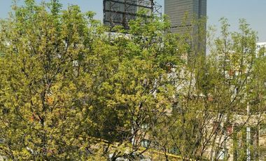 Gutemberg, Anzures | amplio y luminoso