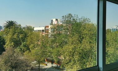 Gutemberg, Anzures | amplio y luminoso