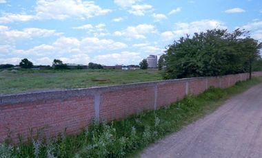 ¡Terreno Industrial de 3 Hectáreas plano y bardeado!