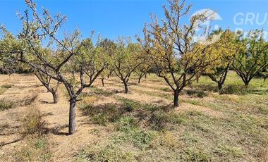 Parcela en Venta en Excelente Parcela a la Venta, Punta de Codegua incluye Derechos de Agua