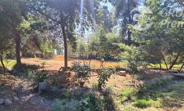 Parcela en Venta en Excelente Parcela a la Venta, Punta de Codegua incluye Derechos de Agua