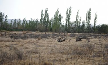 Finca 9 Hectáreas En Venta - Rama Caida
