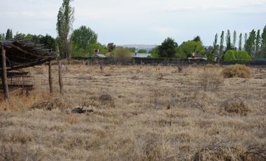 Finca 9 Hectáreas En Venta - Rama Caida