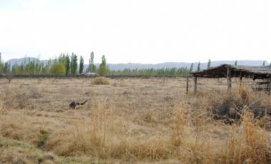 Finca 9 Hectáreas En Venta - Rama Caida