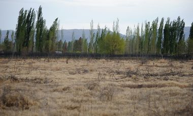 Finca 9 Hectáreas En Venta - Rama Caida