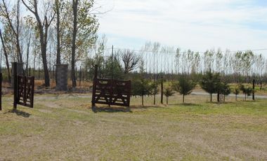 Complejo De 3 Cabañas En Venta, Las Paredes,San Rafael Mendoza.