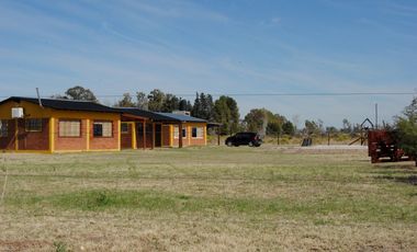 Complejo De 3 Cabañas En Venta, Las Paredes,San Rafael Mendoza.