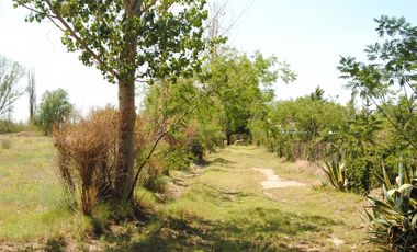 Finca 1 Hectárea Con Cabañas En Las Paredes