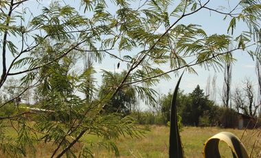 Finca 1 Hectárea Con Cabañas En Las Paredes