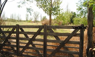 Finca 1 Hectárea Con Cabañas En Las Paredes