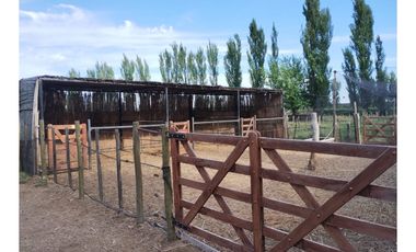 Finca Mas Casa En Venta