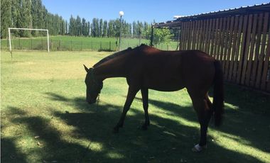 Finca Mas Casa En Venta