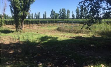 Finca Mas Casa En Venta