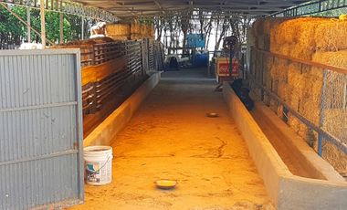 TERRENO EN VENTA EN ENTRONQUE GÓMEZ PALACIO - CHIHUAHUA - MONTERREY - MAZATLAN