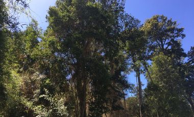 Linda parcela en condominio consolidado, Frutillar