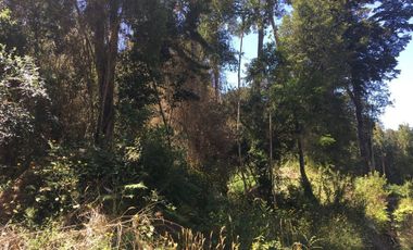 Linda parcela en condominio consolidado, Frutillar