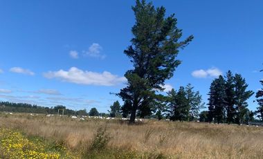 Linda parcela en Frutillar Alto