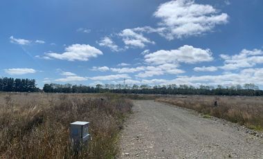 Linda parcela en Frutillar Alto