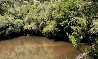 Parcelas  en Vive Futillar