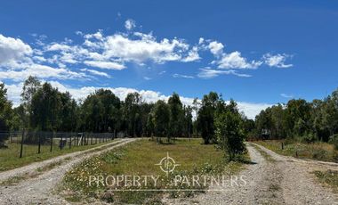 Linda parcela en Frutillar Alto, Lagunitas