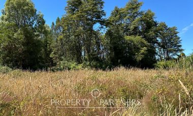 Linda parcela en Frutillar Alto, Lagunitas