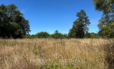 Linda parcela en Frutillar Alto, Lagunitas