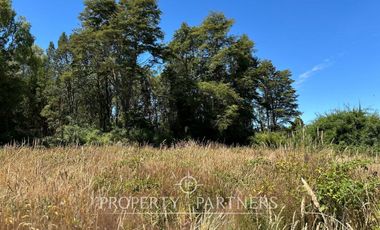 Linda parcela en Frutillar Alto, Lagunitas